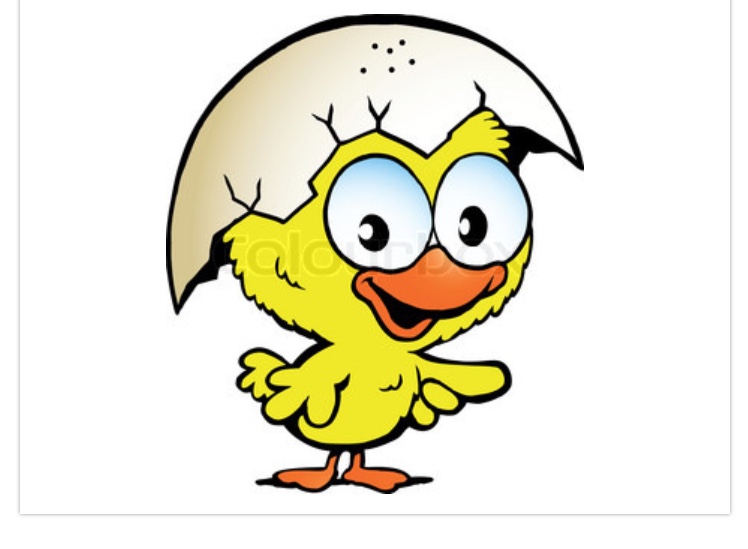 Første møde i den nye bestyrelse